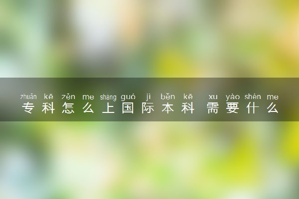 专科怎么上国际本科 需要什么条件