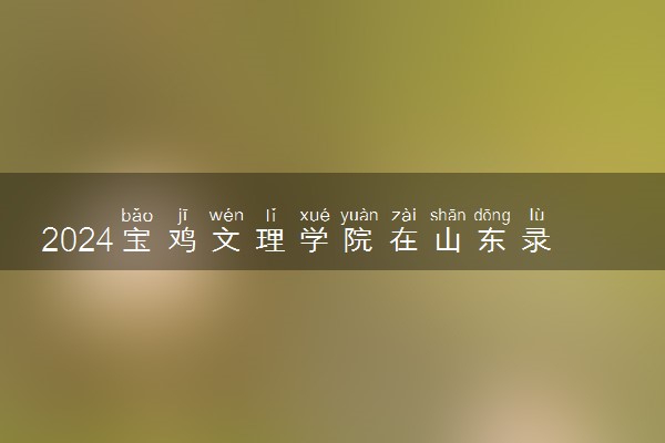 2024宝鸡文理学院在山东录取分数线 各专业分数及位次