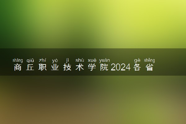 商丘职业技术学院2024各省录取分数线及最低位次是多少