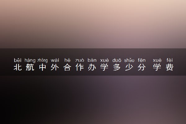 北航中外合作办学多少分 学费一年多少钱