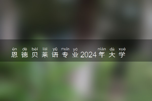 恩德贝莱语专业2024年大学排名 最好的大学排行榜