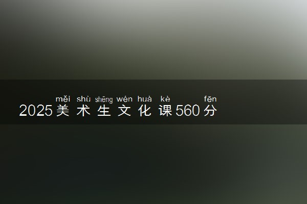2025美术生文化课560分能上衡水学院吗
