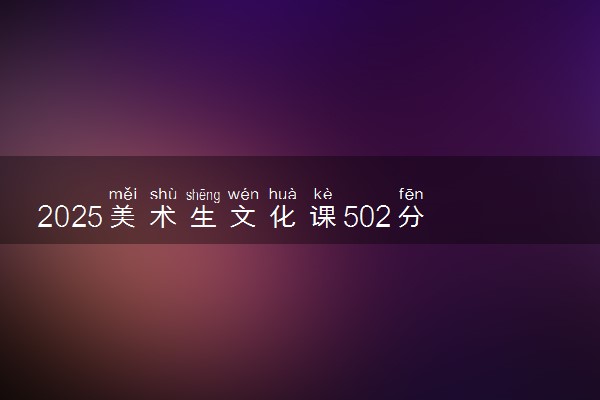 2025美术生文化课502分能上合肥师范学院吗