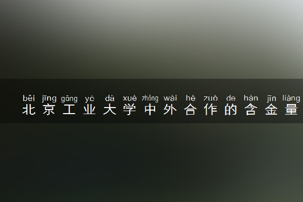 北京工业大学中外合作的含金量 就业率如何