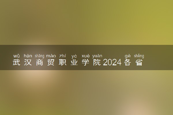 武汉商贸职业学院2024各省录取分数线及最低位次是多少