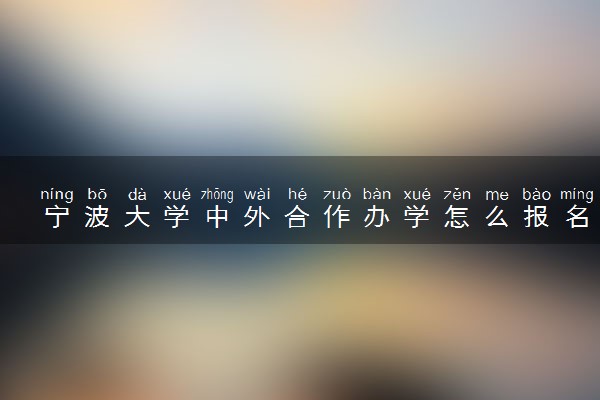 宁波大学中外合作办学怎么报名 需要什么条件